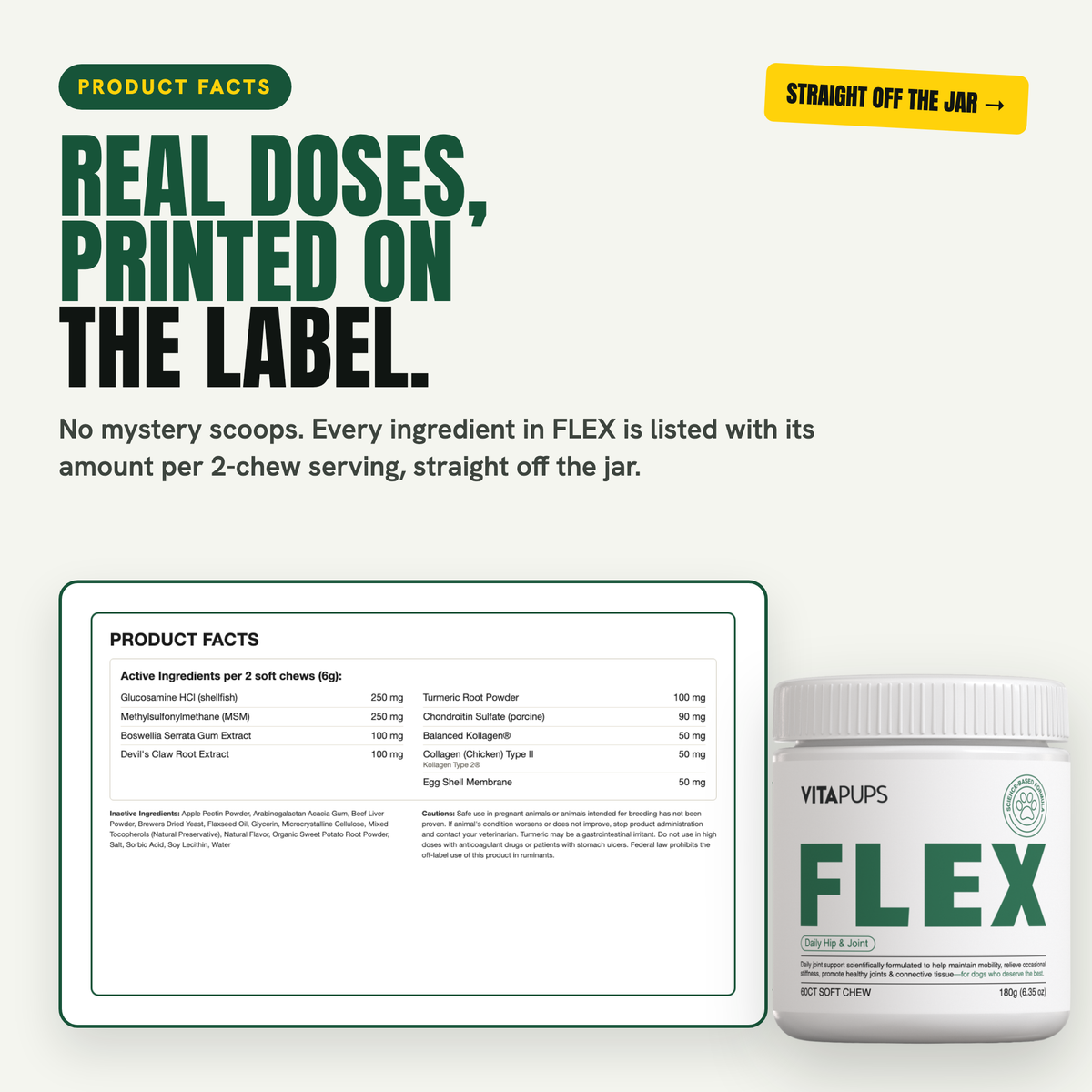 FLEX - Daily Hip & Joint