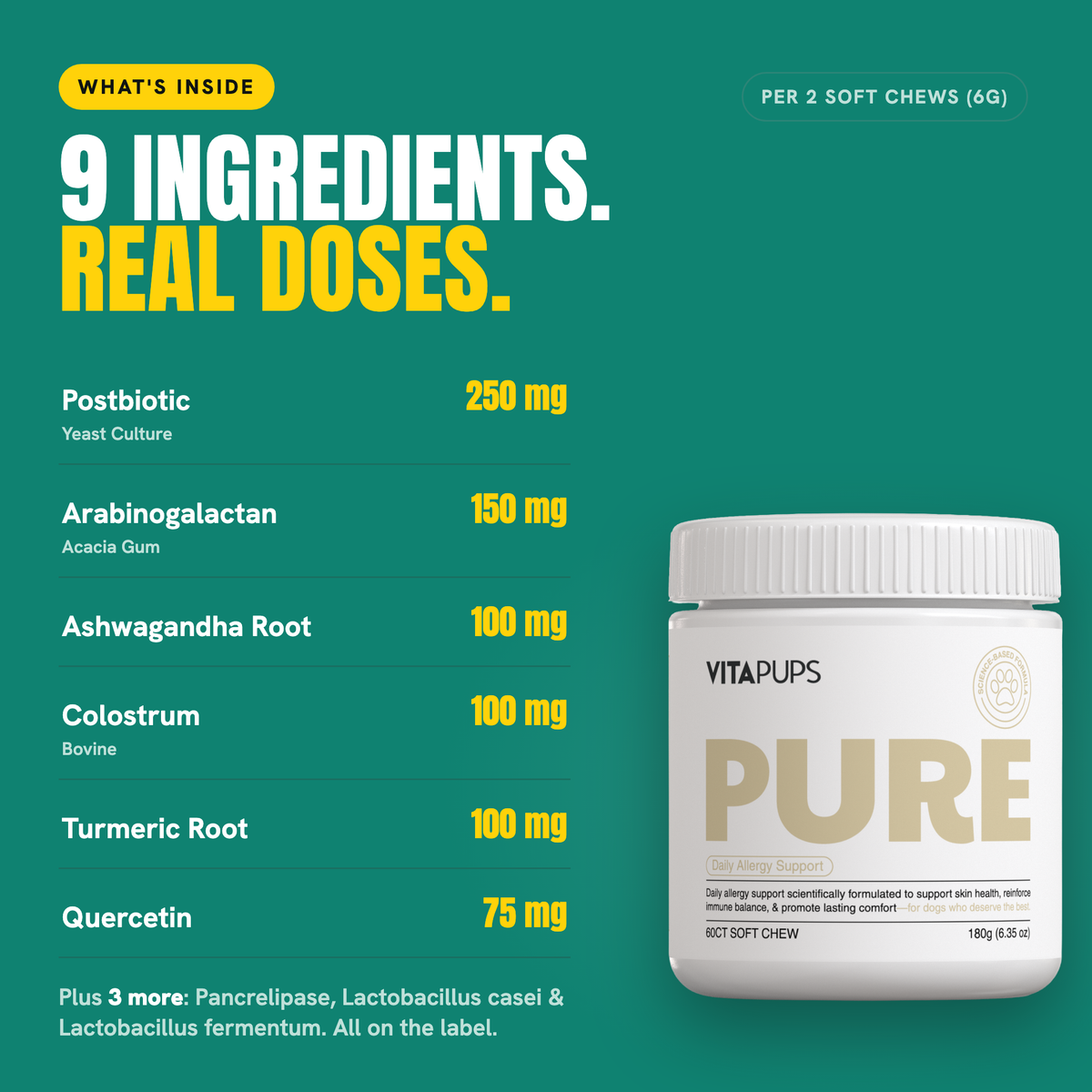 PURE - Daily Allergy Support
