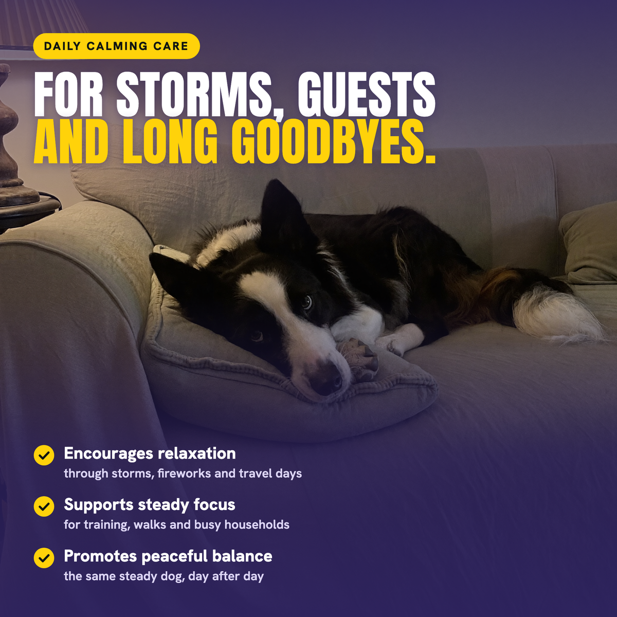 CALM - Daily Calming Care