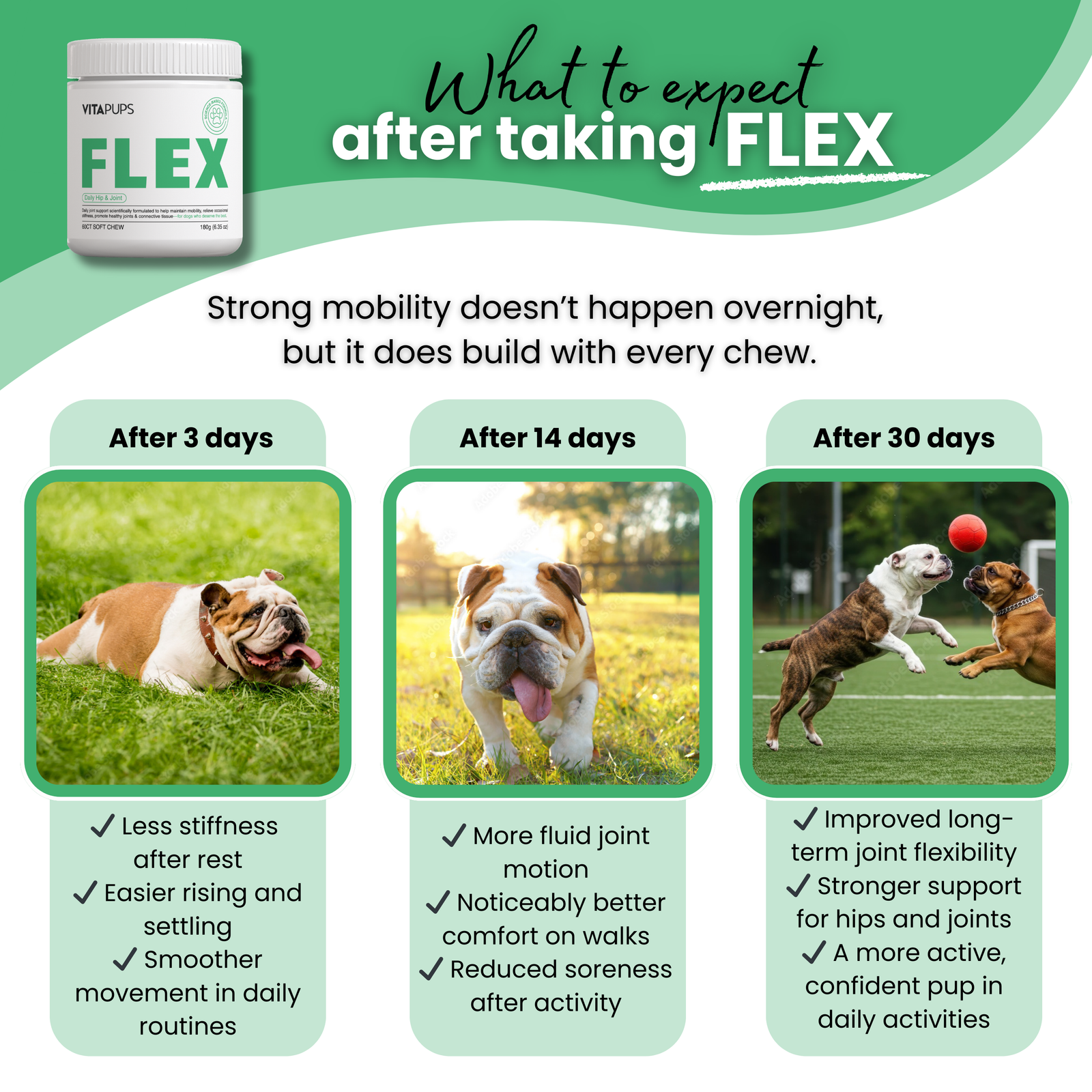 FLEX - Daily Hip & Joint Support