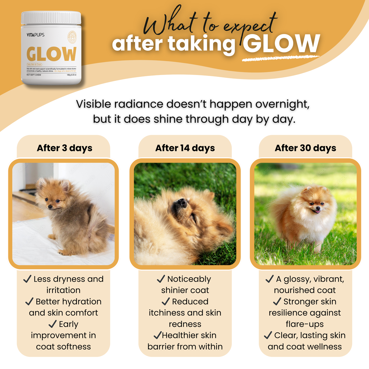 GLOW - Daily Skin & Coat Care