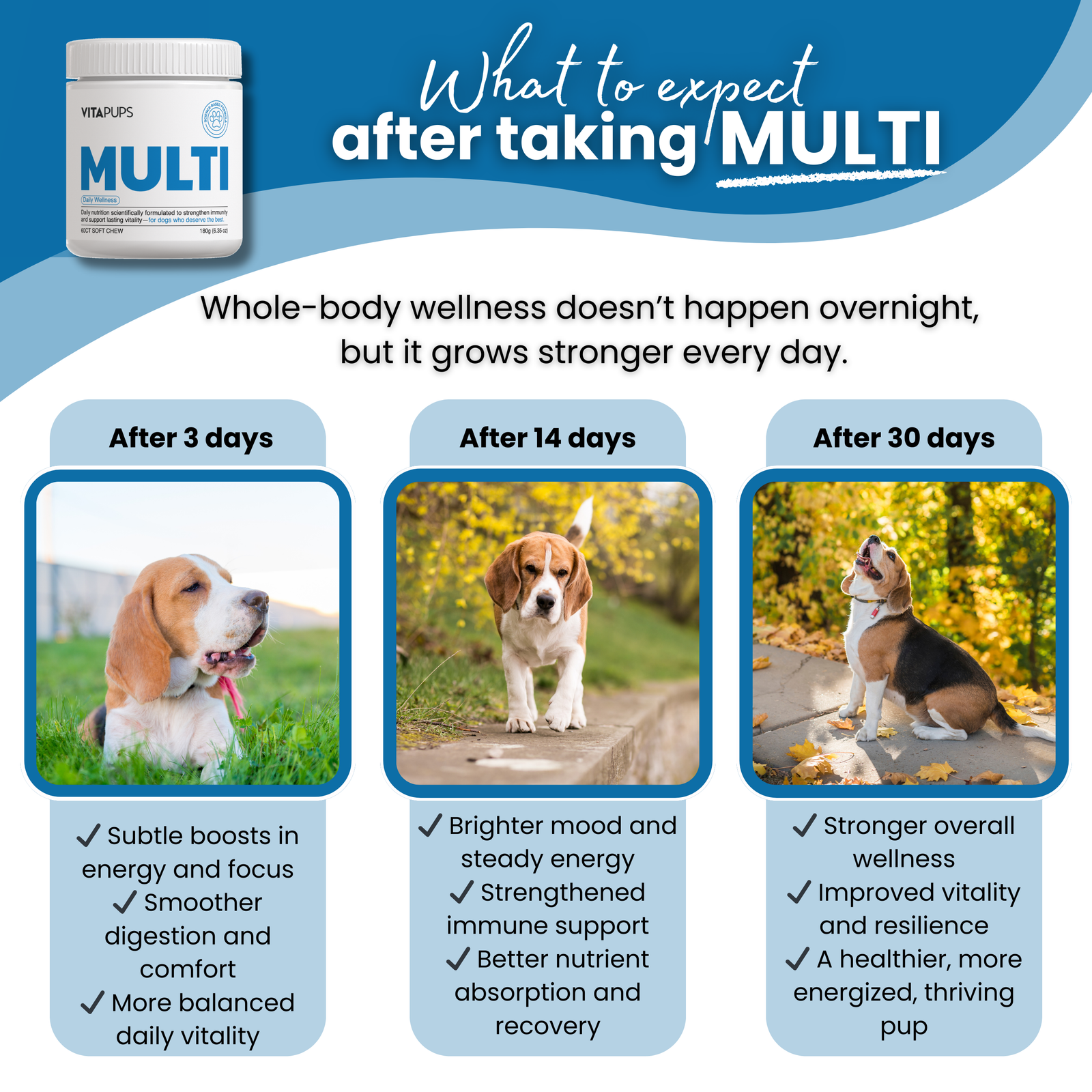 MULTI - Daily Wellness