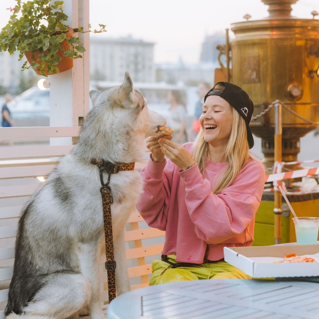 Ask Our Dog Experts: 24/7 Email Support