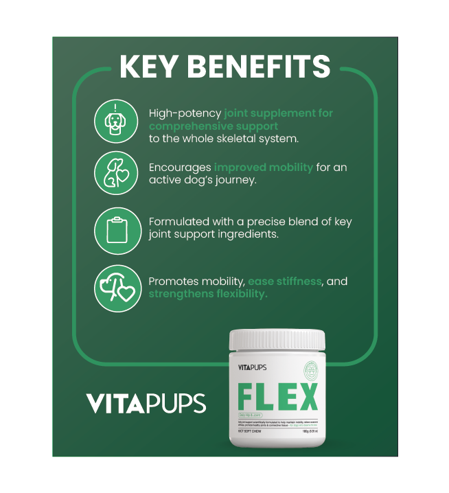 FLEX - Daily Hip & Joint Support