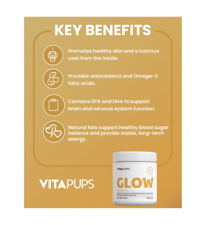 GLOW - Daily Skin & Coat Care