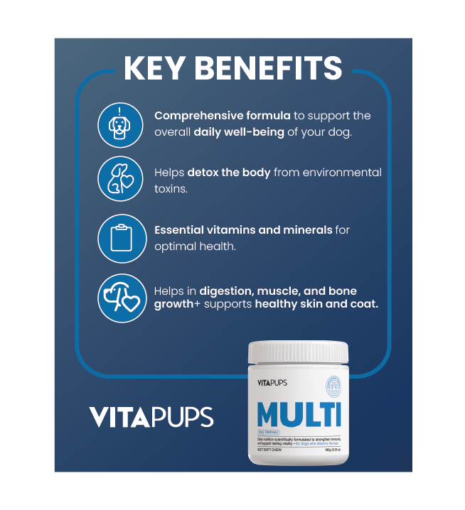 MULTI - Daily Wellness