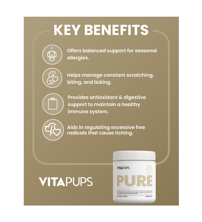 PURE - Daily Allergy Support