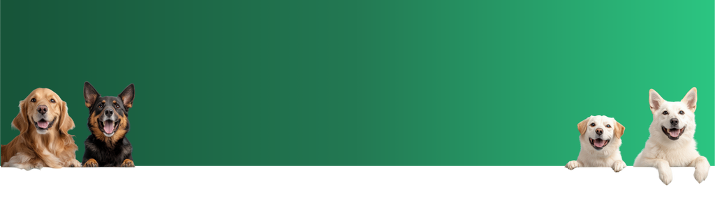 Newsletter background