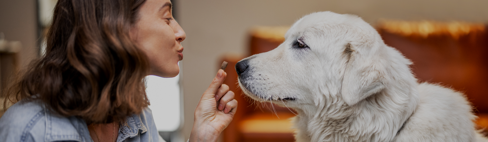 Hero Background Image