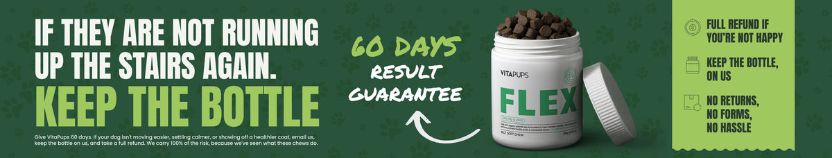 60-Day Results Guarantee: If they're not running up the stairs again, keep the bottle.